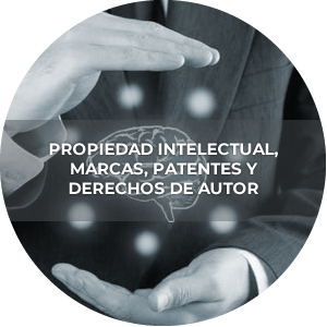 propiedadintelectual
